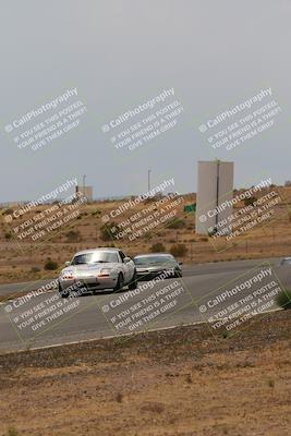 media/May-03-2025-Lucky Dog Racing (Sat) [[206de64b9d]]/Turn 6 (150pm-230pm)/